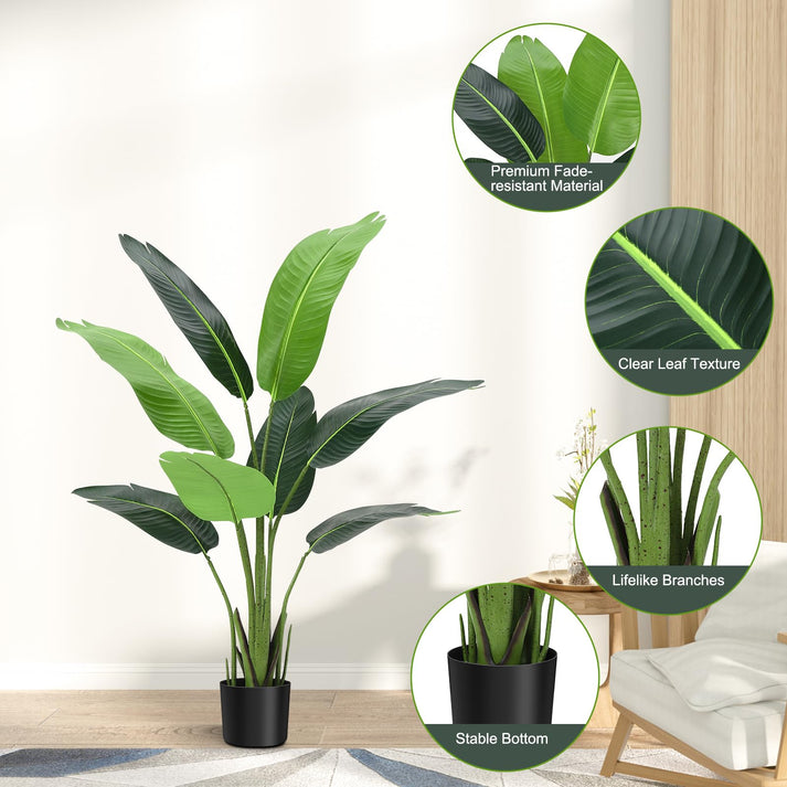 Plante en pot