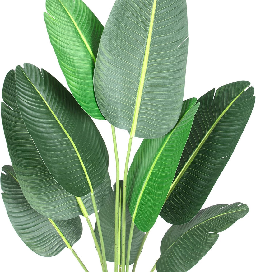 Plante en pot décoratif